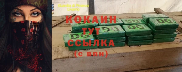 сатива Пересвет