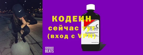 дмт Весьегонск